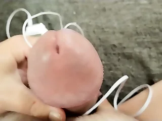 Homo Kotilainen unsustained Jun 08&comma; 2024