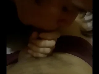 Novinho de Maracanaú mamando